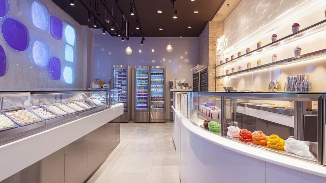 Iceshop.fr ou l&rsquo;équipement professionnel du maintien au froid : optimisez la conservation de vos produits avec les bons congélateurs